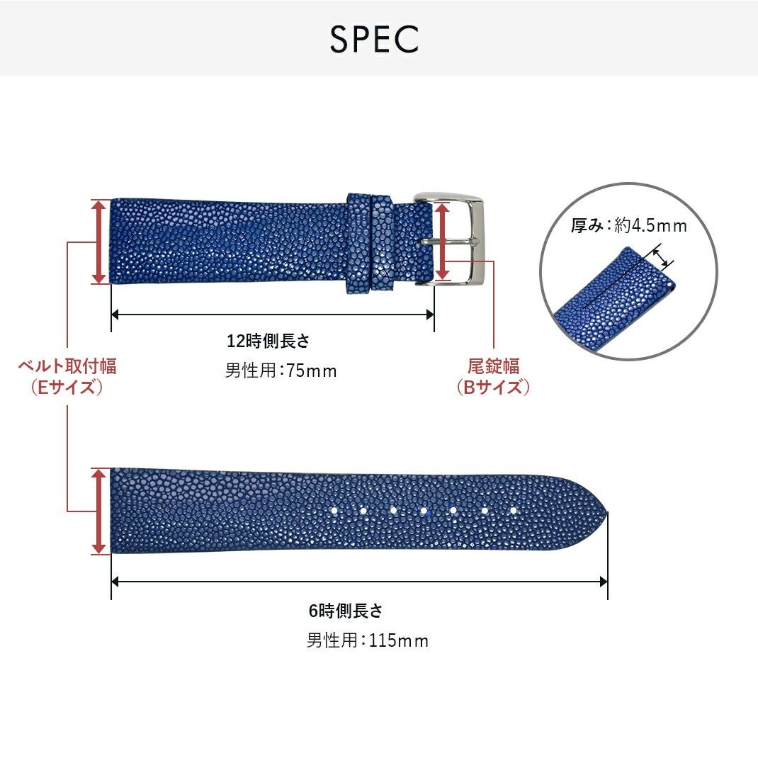 エンポリオ アルマーニ EMPORIO ARMANI にぴったり GALUCHAT C スペック