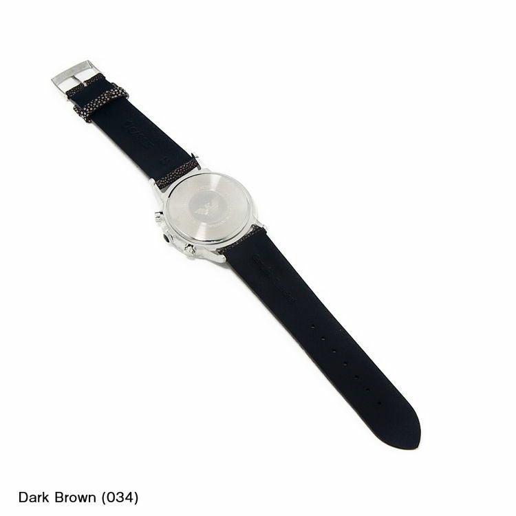 エンポリオ アルマーニ EMPORIO ARMANI にぴったり GALUCHAT C 装着イメージ