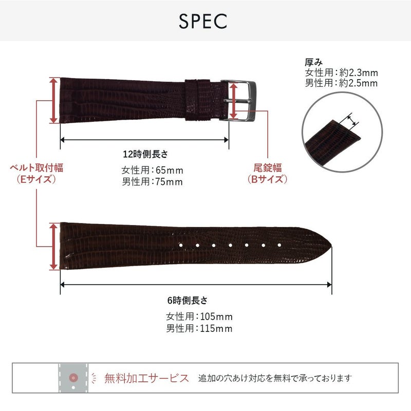 セイコー ドルチェ ラウンドケース 用 SEIKO DOLCE にぴったりの時計 