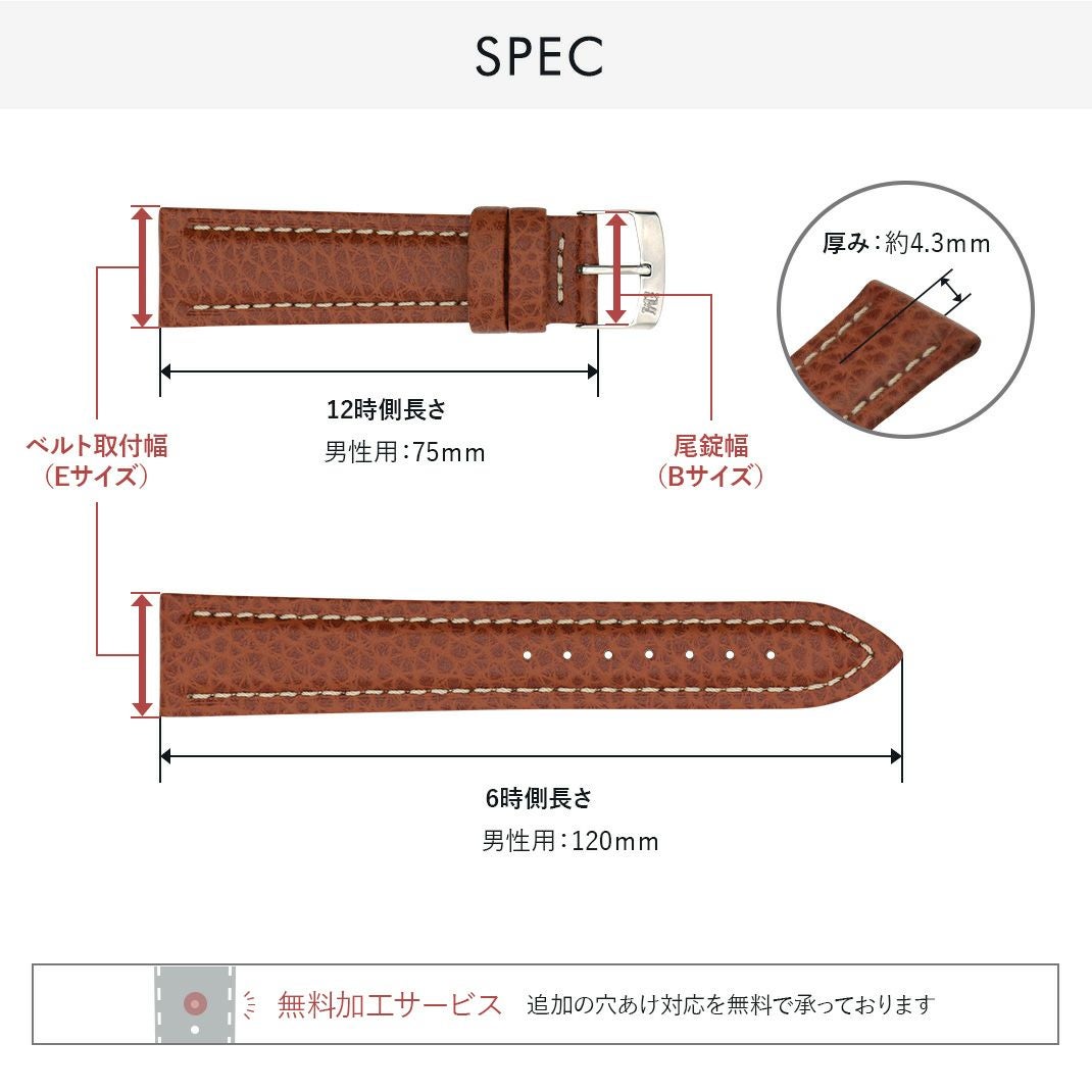 モレラート時計ベルト KUGA(クーガ) スペック