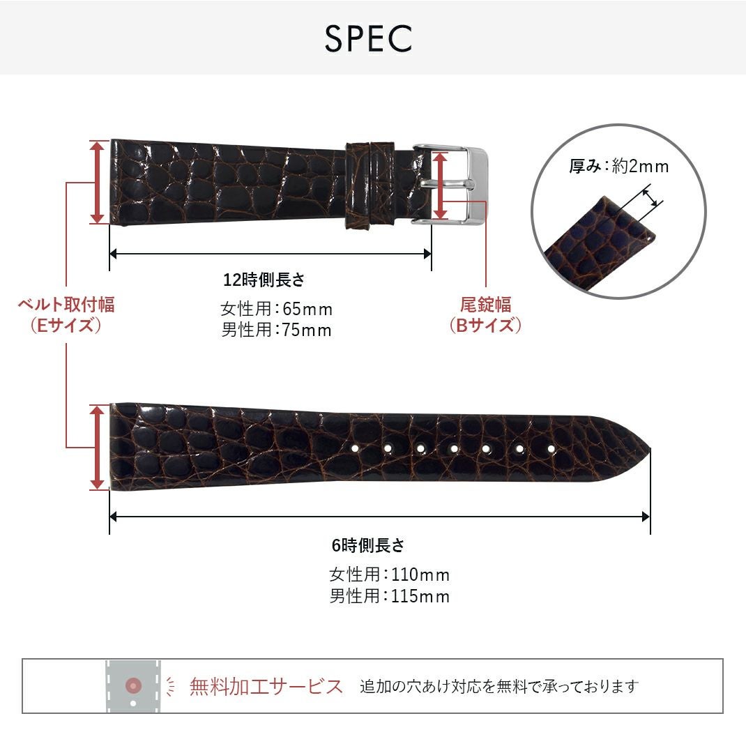 カシス時計ベルト RIOM C (リオンシー) スペック