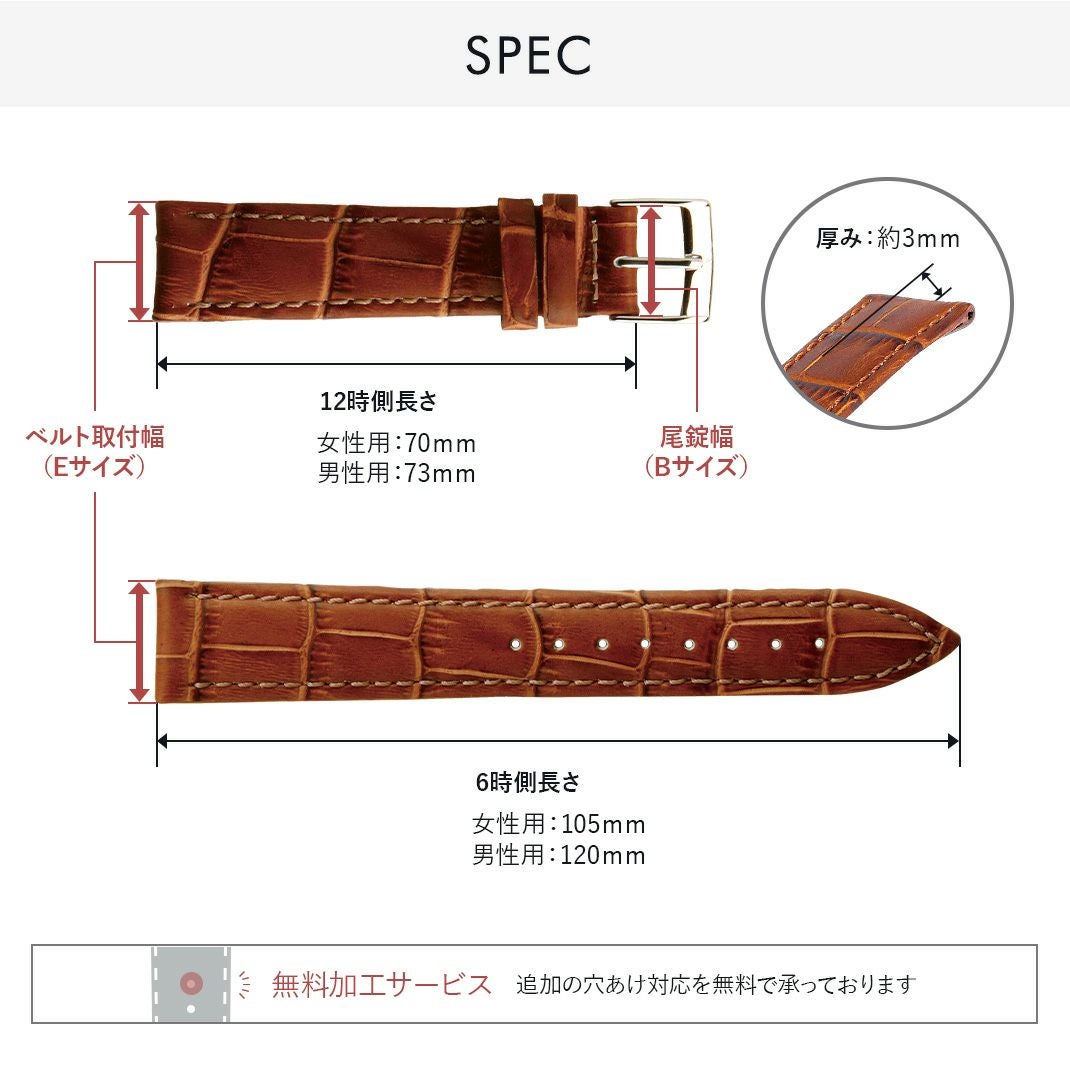 オメガ コンステレーション Cライン OMEGA Constellation C-Line にぴったり BOLLE スペック