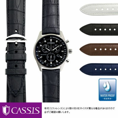 000000001919-01.jpg?size=m&w= 