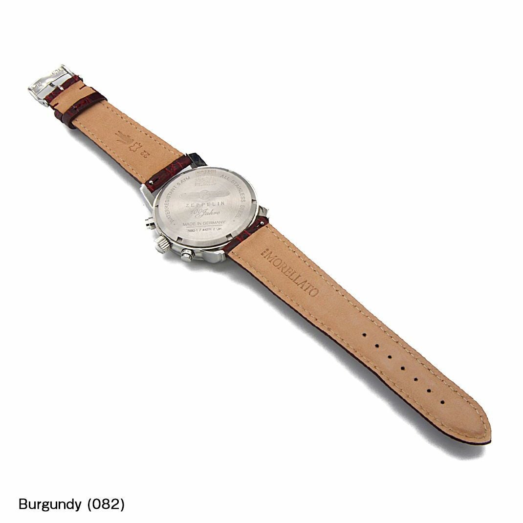 ツェッペリン Zeppelin にぴったり AMADEUS 装着イメージ