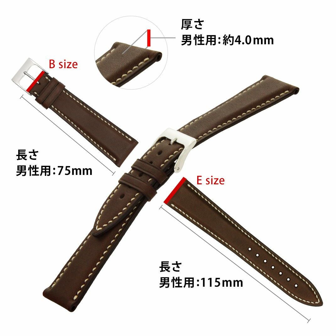 CASSIS STRASBOURG(ストラスブール) スペック