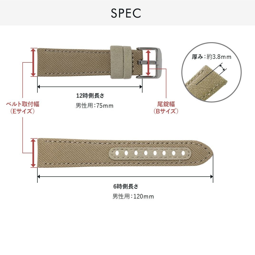 どんな時計にも、どんなシーンにも合う実力派 フィブラ。
