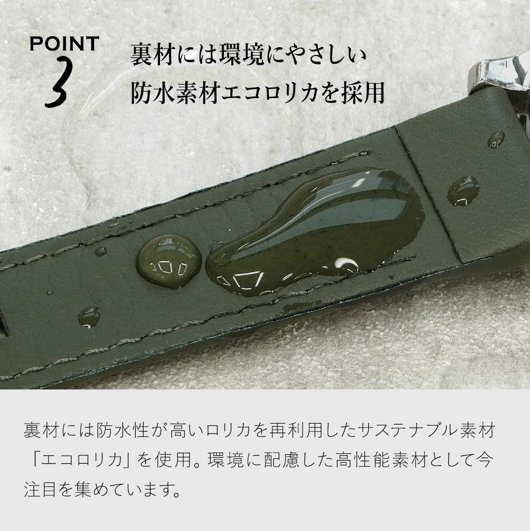 ハルモニア　 2点 まとめ商品 WF】ハルモニアシリーズ 新作発表内容紹介・ドルサミ続報おさらい☆彡