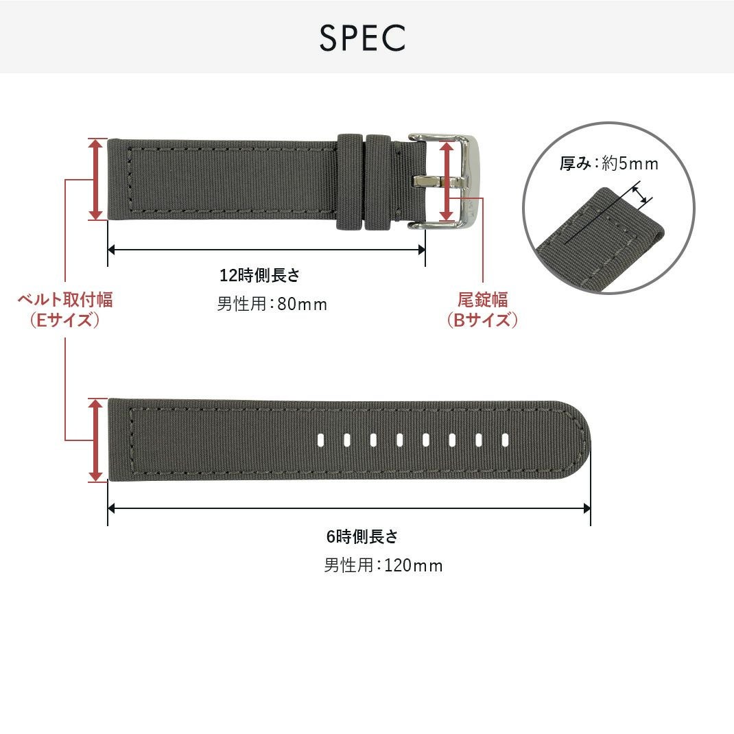 VIAREGGIO(ビアレッジョ)
