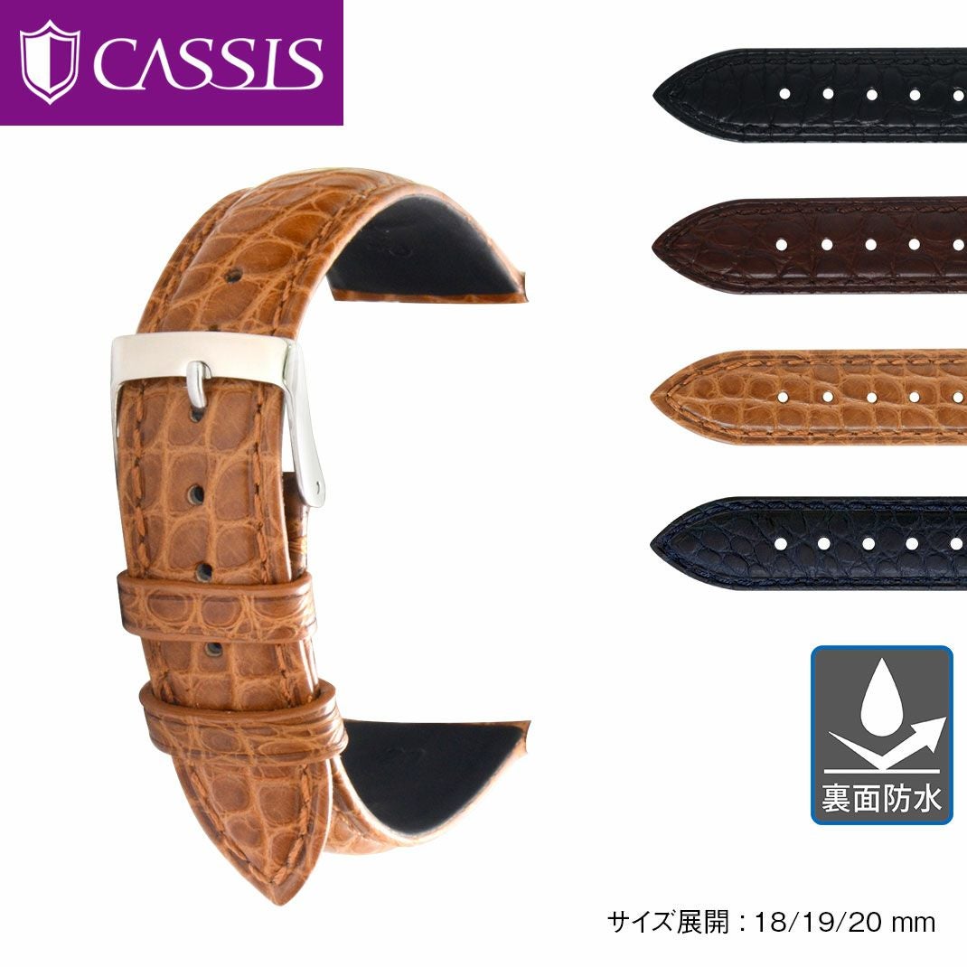 000000002726-01.jpg?size=m&w=