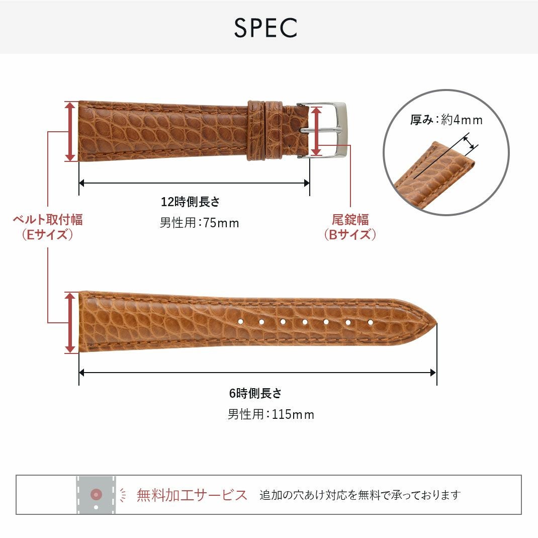 CASSIS ダンケルク（DUNKERQUE）